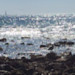 Meet your Posher, Lillian n